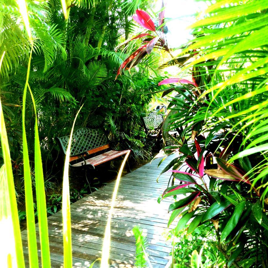 Hotel Les Bougainvilliers سان جيل لي بان المظهر الخارجي الصورة
